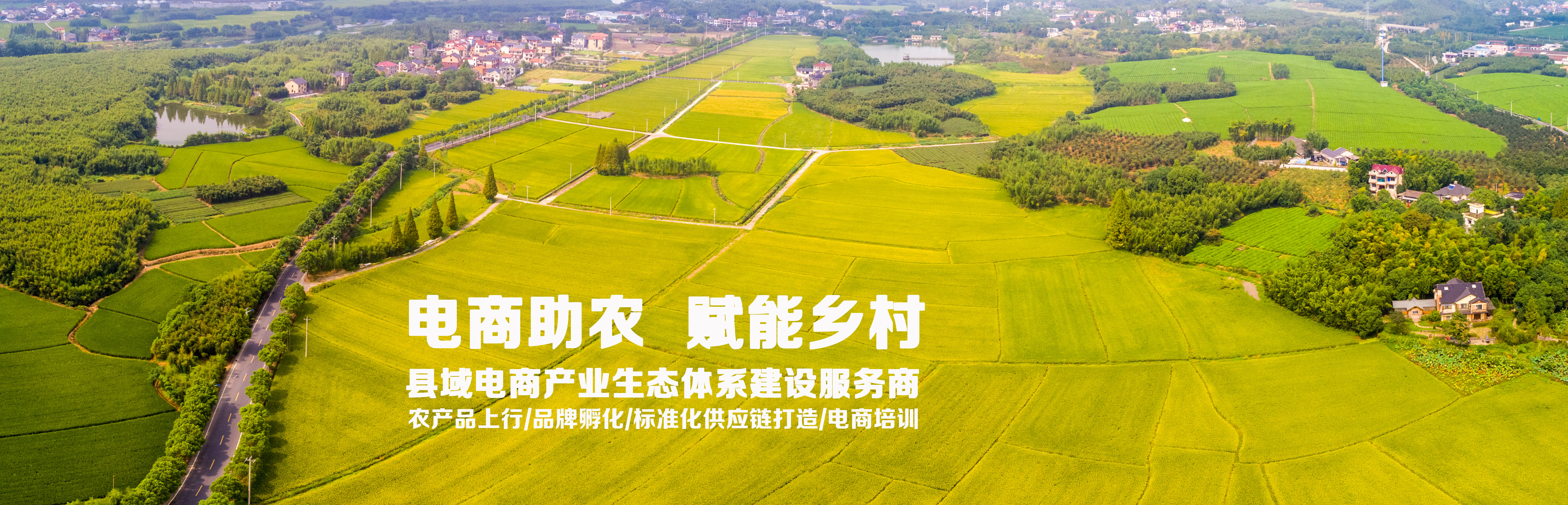 摄图网_500692244_航拍田野(非企业商用).jpg